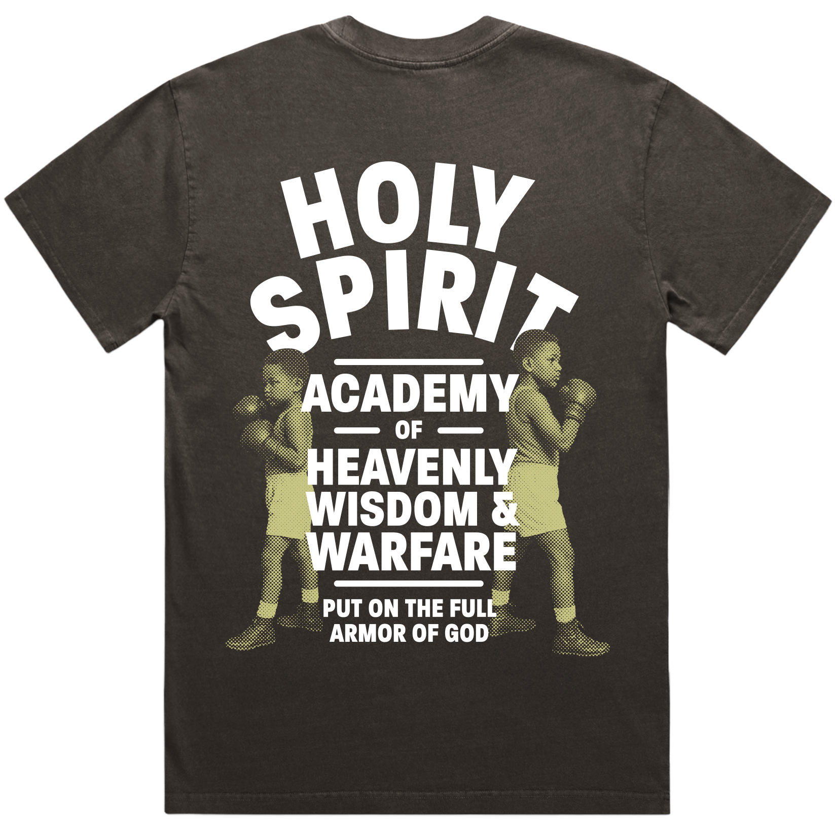 The Holy Spirit Academy